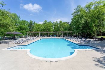 A large swimming pool surrounded by trees and lounge chairs.